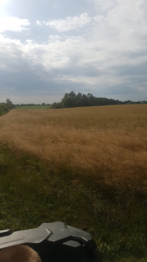 Регіональний ландшафтний парк “Притисянський”