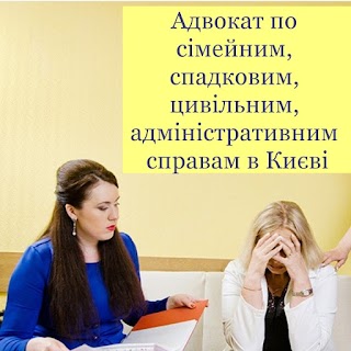 Адвокат Годун Дарья Володимирівна