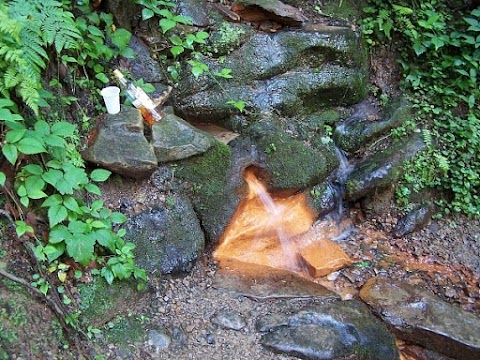 Джерело залізної води