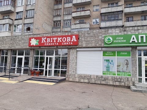 Квіткова планета свята