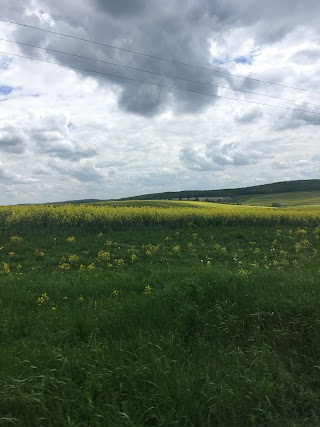 Кінчаківська загальноосвітня школа І-ІІ ступенів