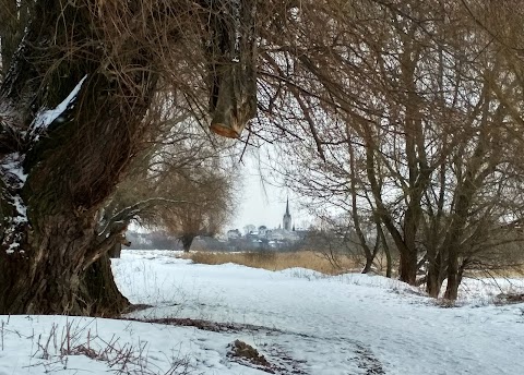 Гнідавське болото