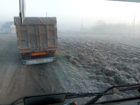 Руїни дзвіниці василіансько-домініканського монастиря, сер. XVII ст.