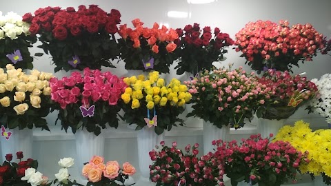 Магазин "Квіти цілодобово UFLORA"