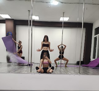 Студия Pole dance "Gravitacia"