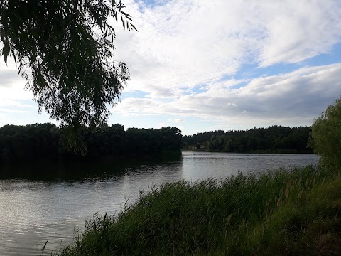 Педагогічний університет