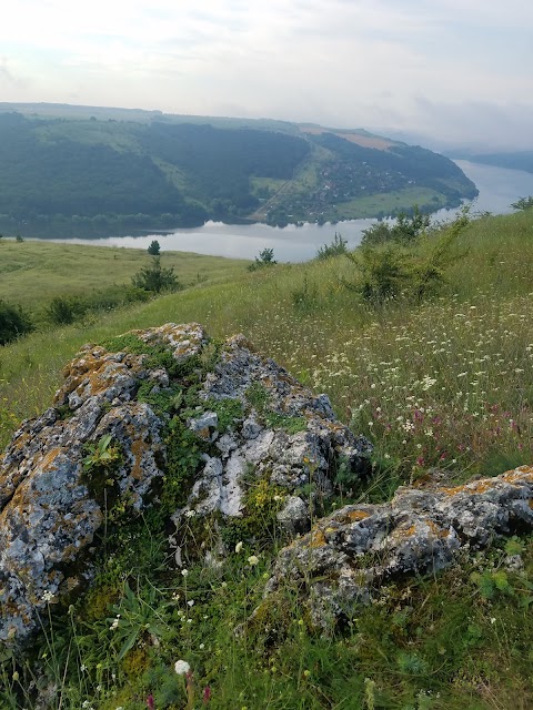 Панорама Дністра