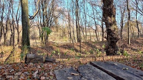 Говорівський Парк