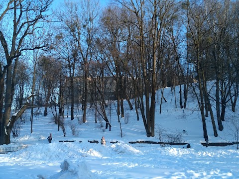 Стрийський парк, лебедине озеро