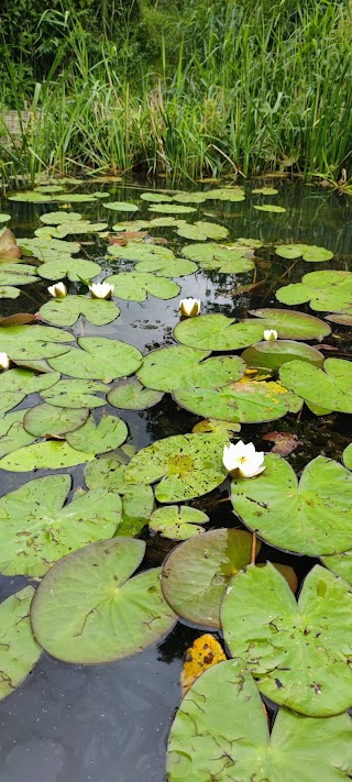 панорама Липляни, старе русло