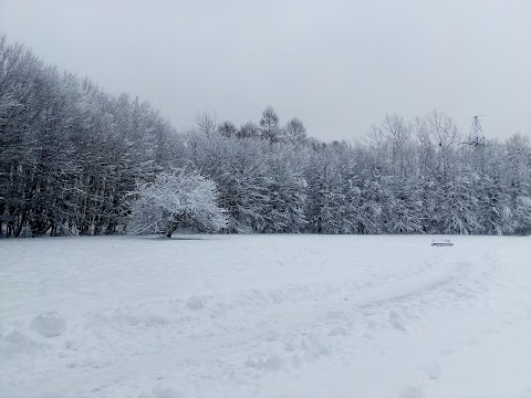 Снопківський парк