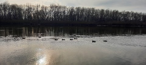 Городской пляж "Золотой берег"