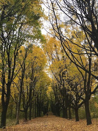 Снопківський парк