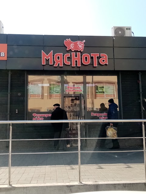 МЯСНОТА