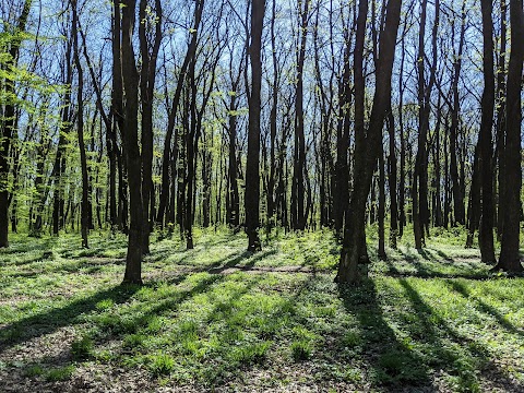 Сихівський парк