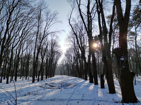 Парк імені Пушкіна