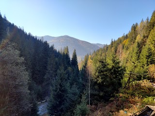 САДИБА НА СКЕЛІ