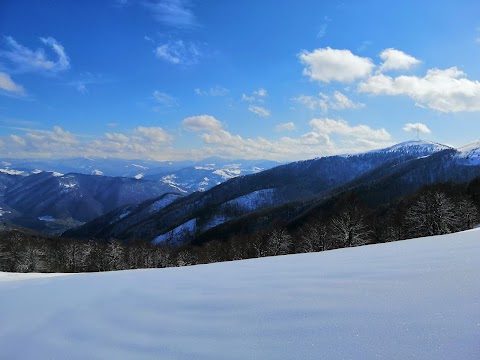 Перелісок