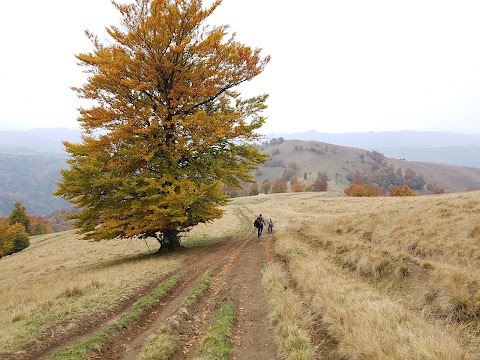 Гора Апецька