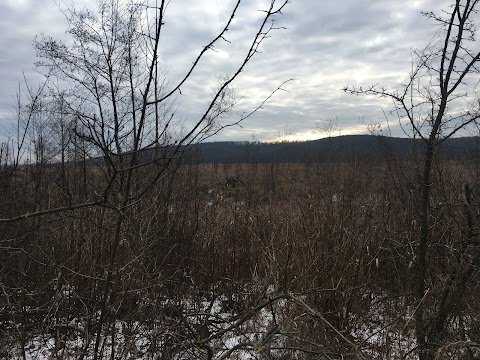 Екологічна стежка Ірдинського болота