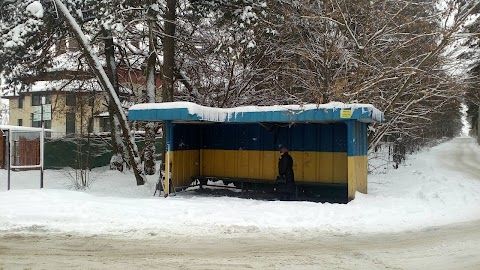 смт Брюховичі (Школа-інтернат)