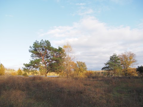 Пляж Магадан