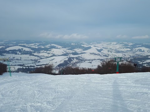 Під Боржавою