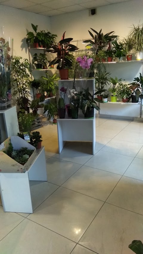 Квітковий магазин Тотем
