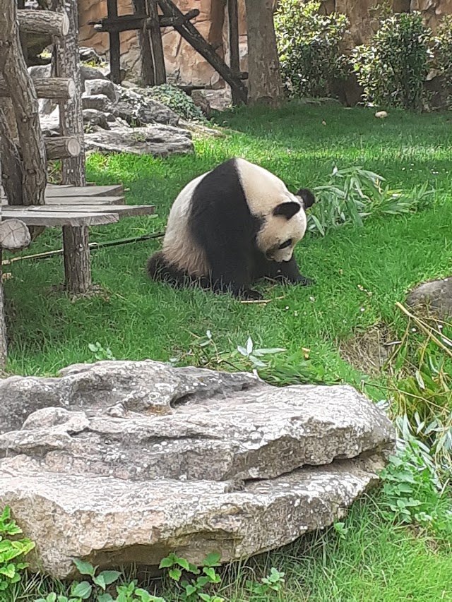 ZooParc de Beauval