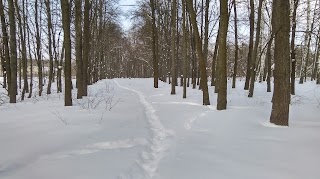 Лісопарк "Хутір База"