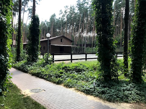 Конный комплекс Relax Park Verholy