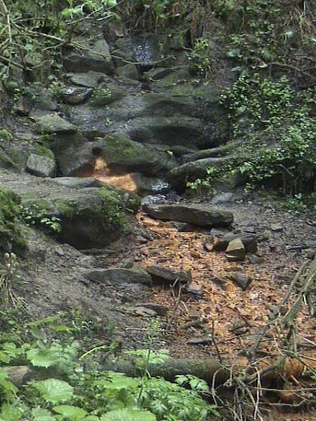 Джерело залізної води