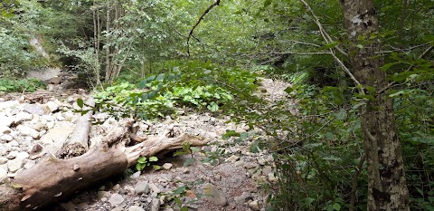 Женецьке природоохоронне науково-дослідне відділення