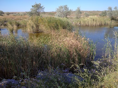 Олександрівський заказник