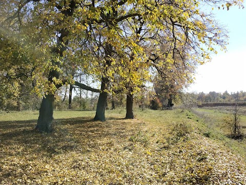 Парк Мерінга