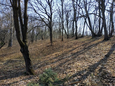 Турбаза в Пирогівцях