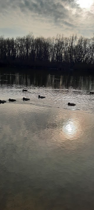 Городской пляж "Золотой берег"