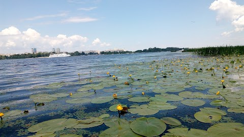 Пляж "Дитячий"