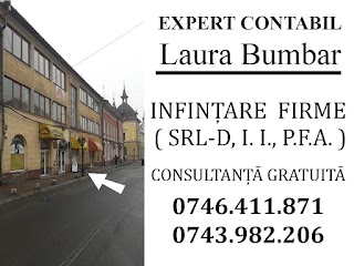 Înființări firme, EXPERT CONTABIL Sighetu Marmatiei Laura Bumbar Plesa