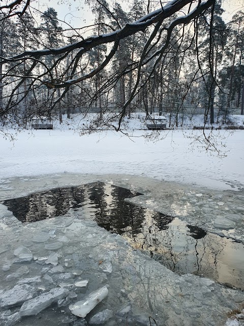 Отдых в беседках