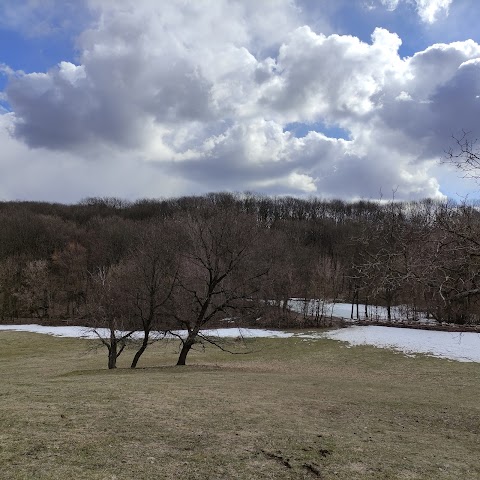 Заповідник Білосніжний