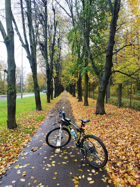 Подільський парк