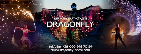 Dragonfly show (фаєр-шоу, світлодіодне шоу, програми на свята Закарпаття, Ужгород)