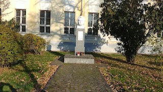 Пам'ятник Духновичу