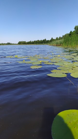 Пляж