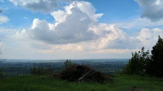 Заповідне урочище Буковий праліс