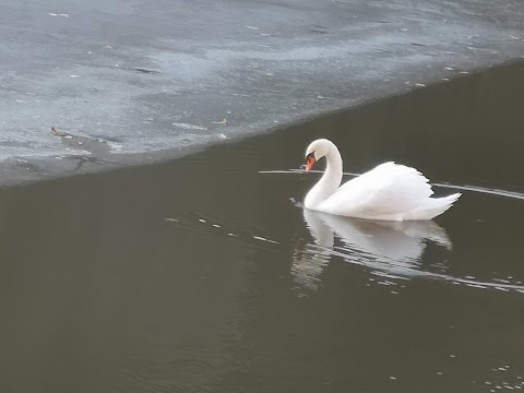 Арден палац