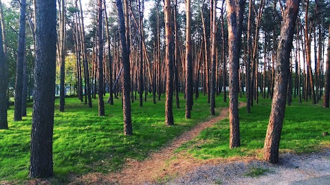 Стадіон АРЗ