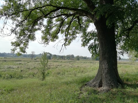 Парк Мерінга