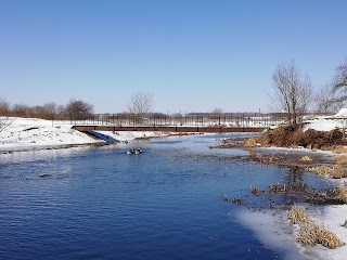 Коршовецький міст